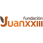 logo_fjxxiii_icon